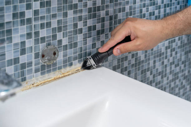 Best Mold Testing  in Goliad, TX