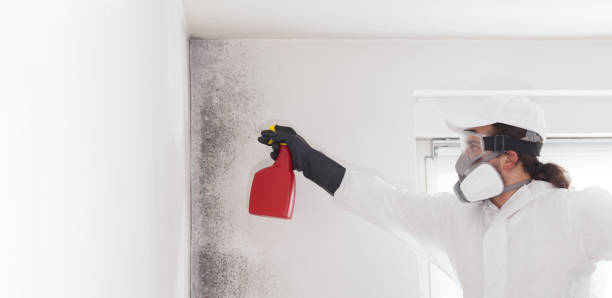 Best Professional Mold Removal  in Goliad, TX