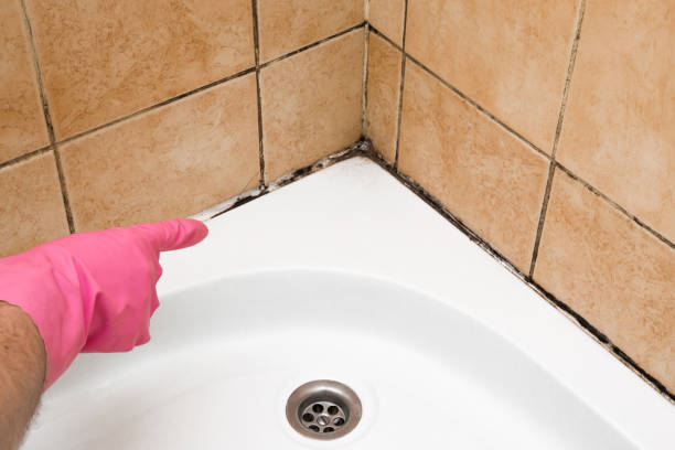 Best Affordable Mold Removal  in Goliad, TX